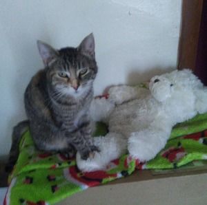 Meet your Posher, Marana